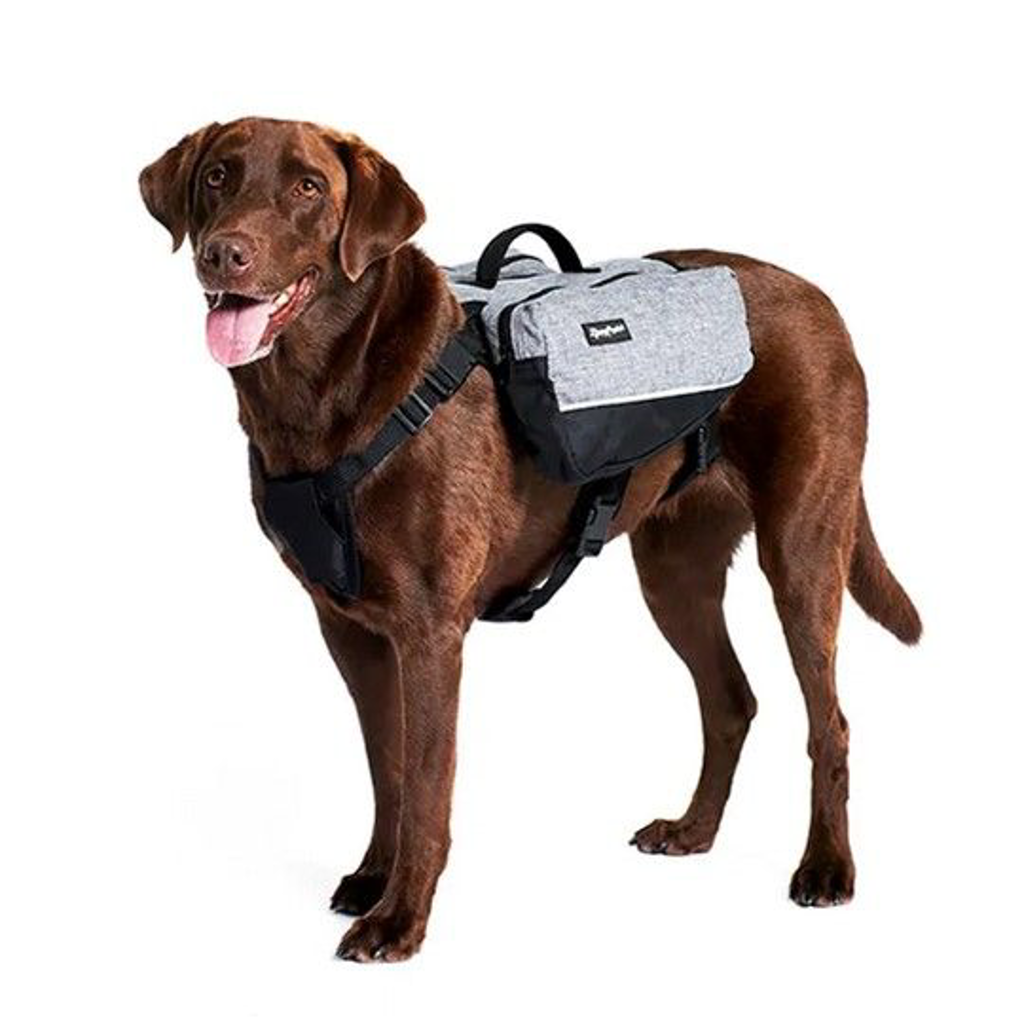 Zippy Paws Adventure Backpack - Graphite XL