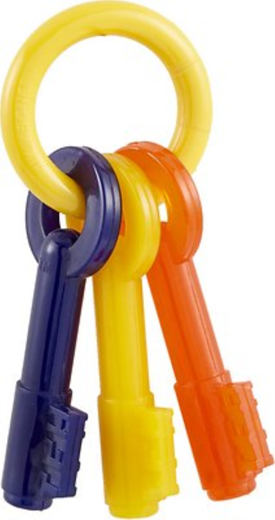 NYLA PUPPY KEYS REG