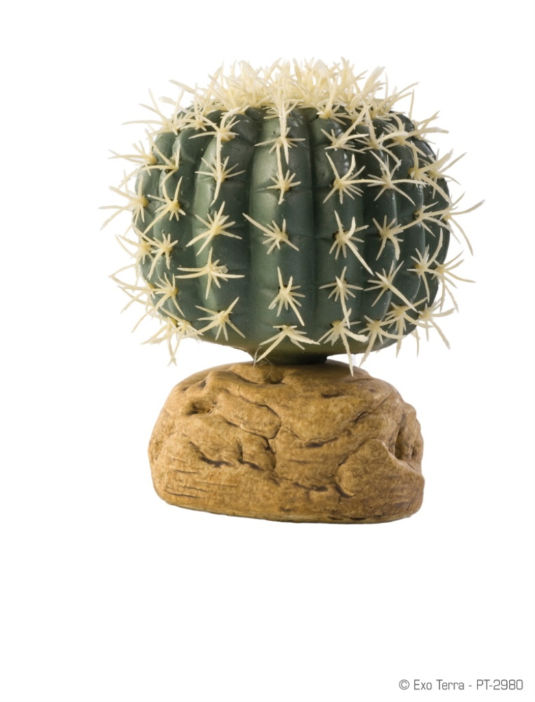 Exo Terra Barrel Cactus Terrarium Plant, Small