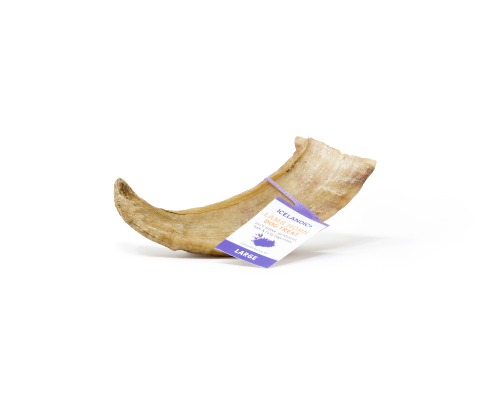 Icelandic+ Lamb Horn Dog Treats, Large