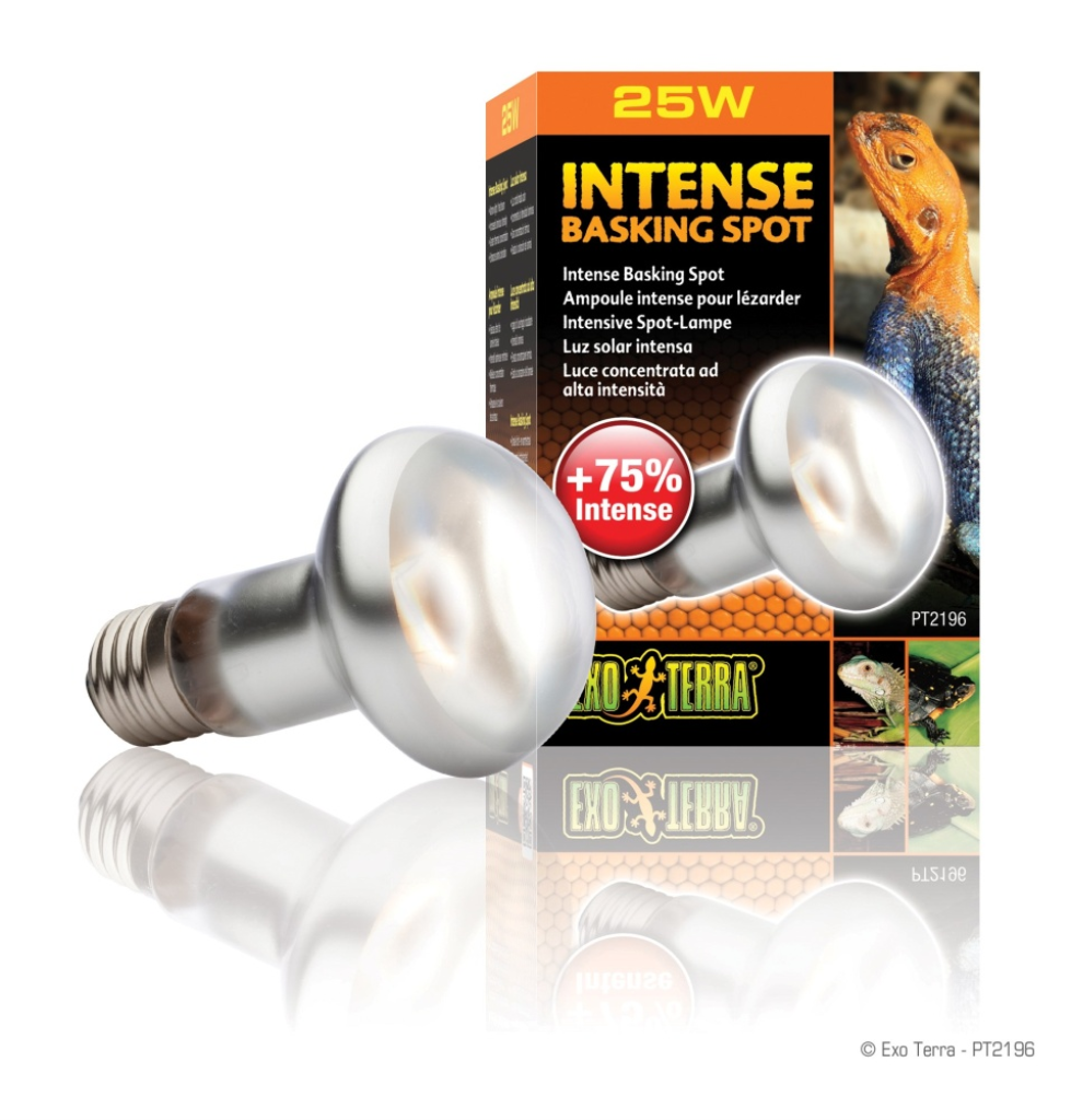 Exo Terra Intense Basking Reptile Spot Lamp, 25-w bulb