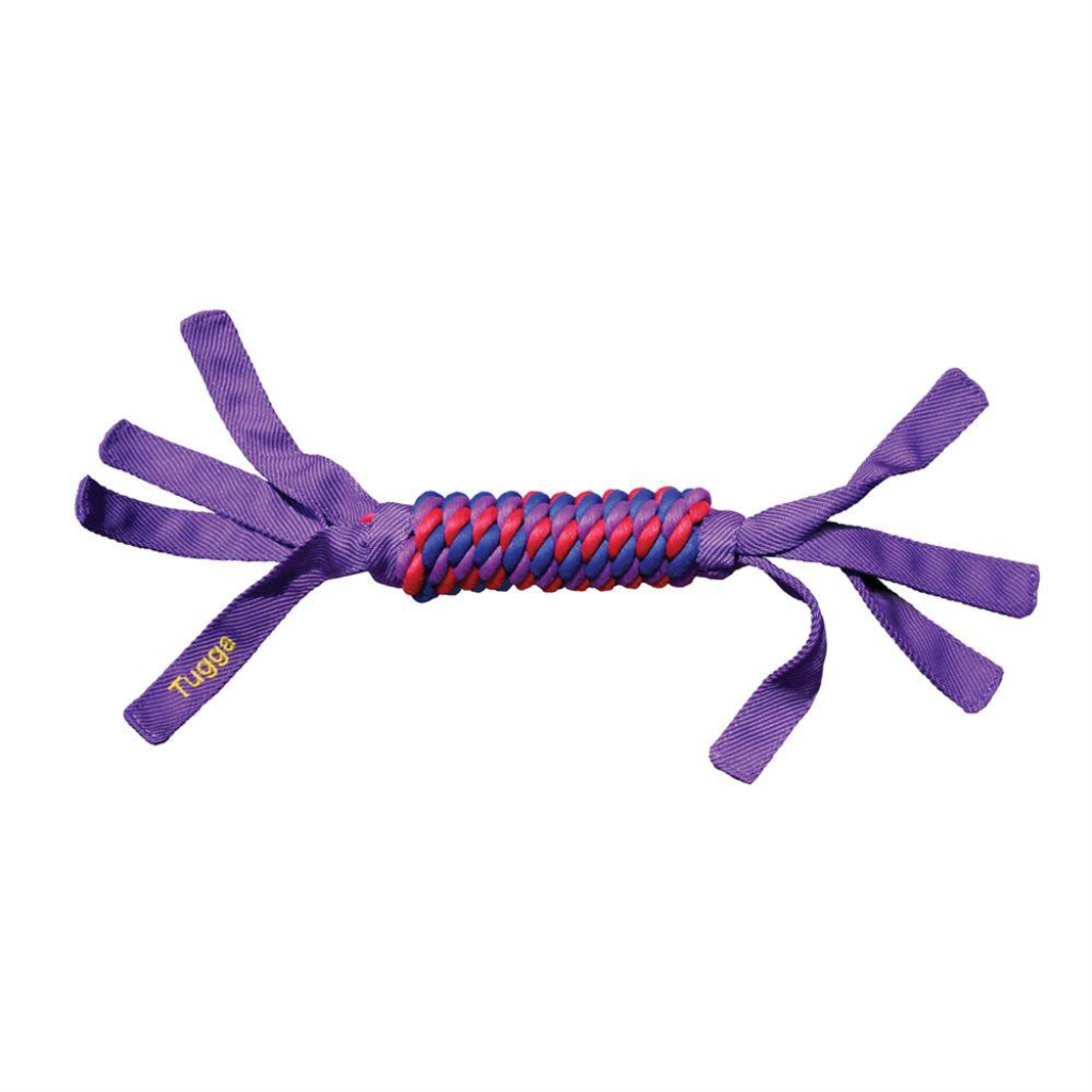 KONG Tugga Wubba Dog Toy, Color Varies, Large