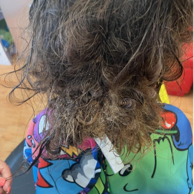 Detangle Consultation