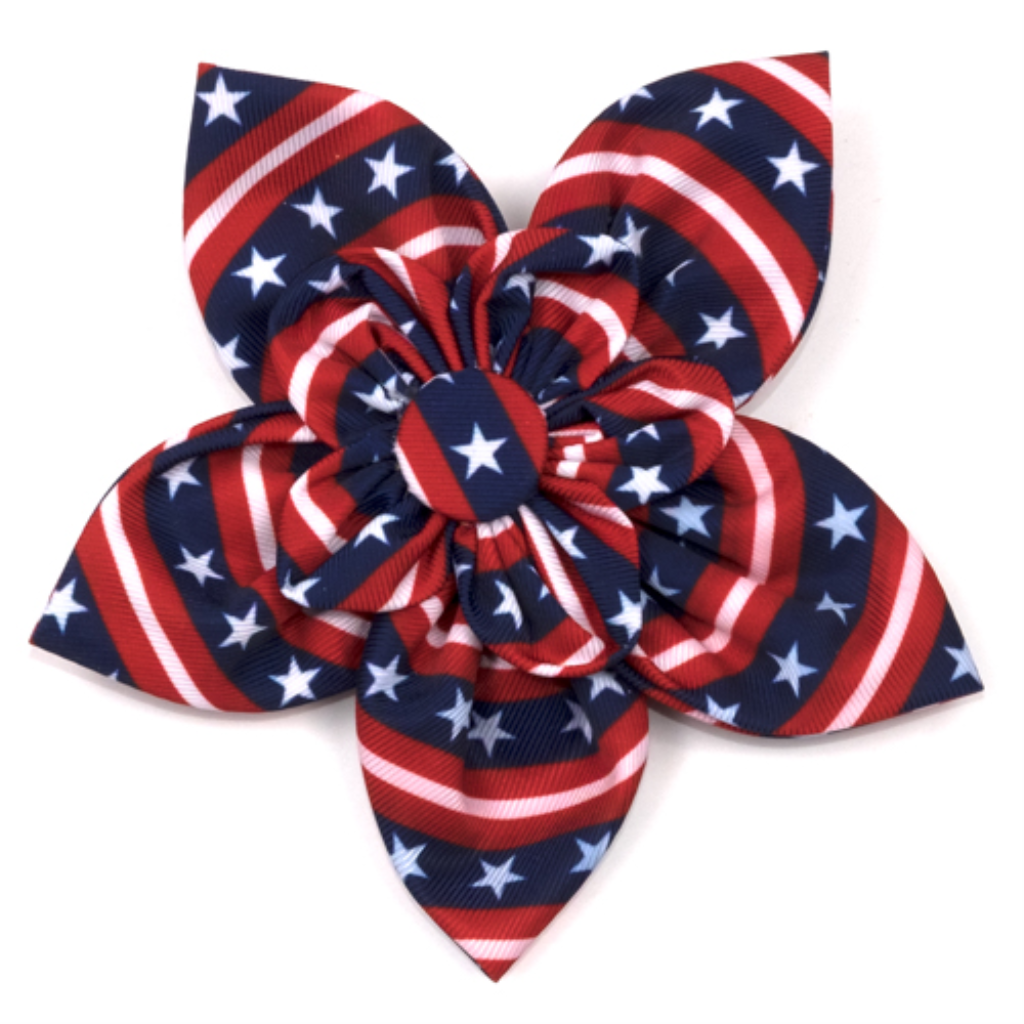 The Worthy Dog Collar Flower, Stars and Stripes, Small