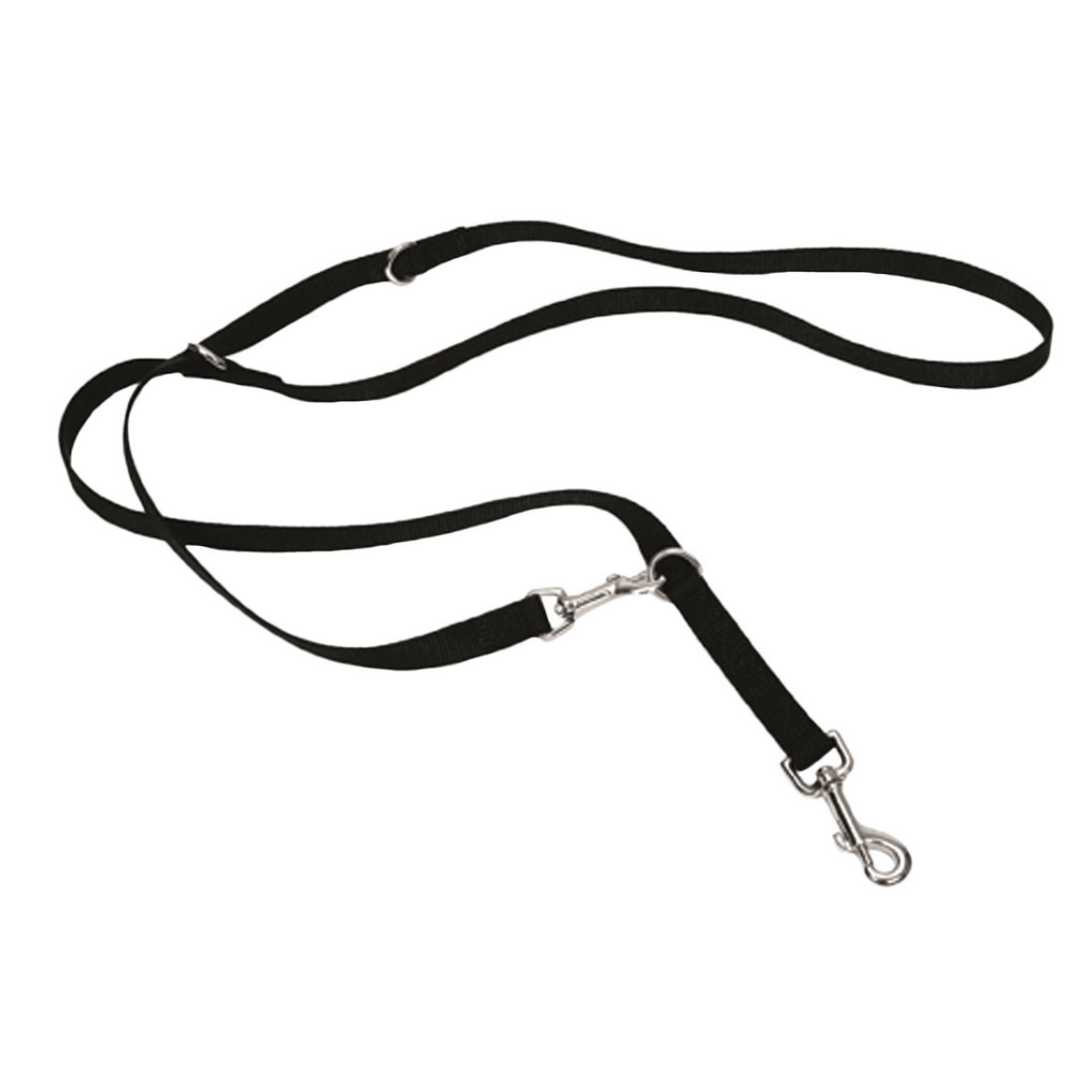 Coastal Multi-Function Dog Leash, 6-ft