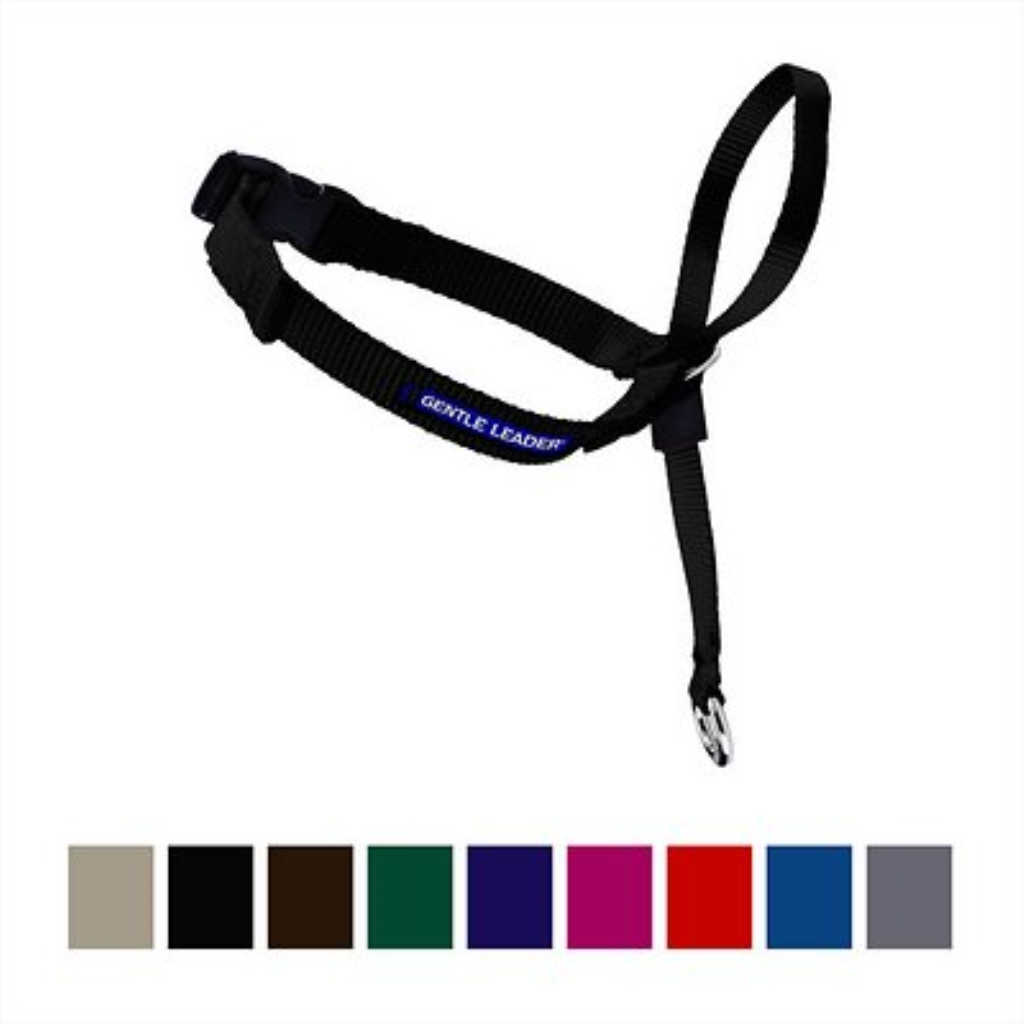 PetSafe Gentle Leader Black Medium Headcollar