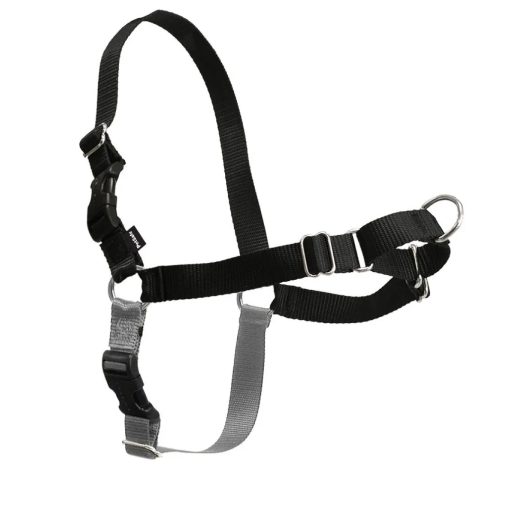 PetSafe Easy Walk Dog Harness, Black/Silver, Medium/Large