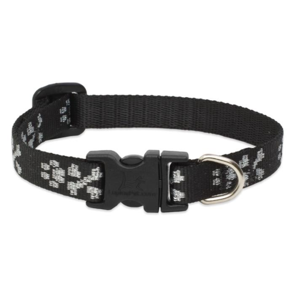 Lupine Pet Original Designs Adjustable Dog Collar, Bling Bonz, 1/2-in x 10-16-in
