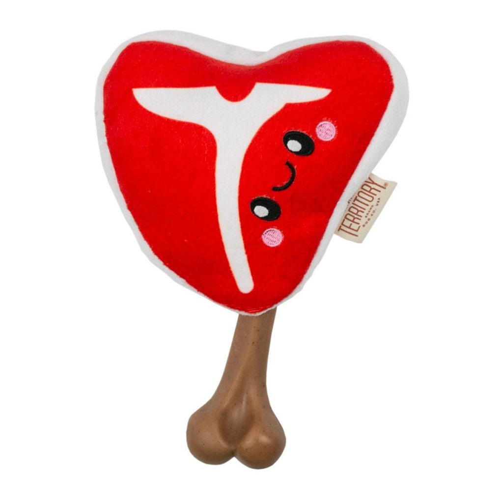 Original Territory Steak Bone 2-in-1 Dog Toy, 8-in