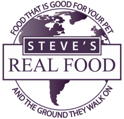 Steve s