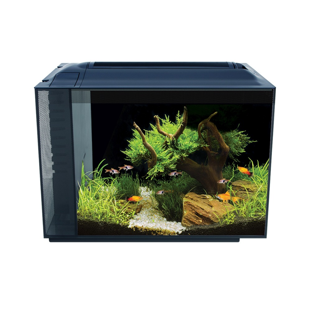 Fluval SPEC Freshwater Aquarium Kit, 16-gal