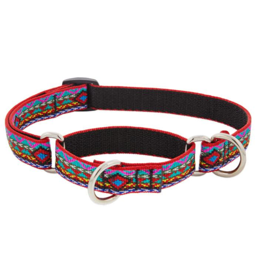 Lupine Pet Original Designs Martingale Dog Collar, El Paso, 3/4-in x 14-20-in