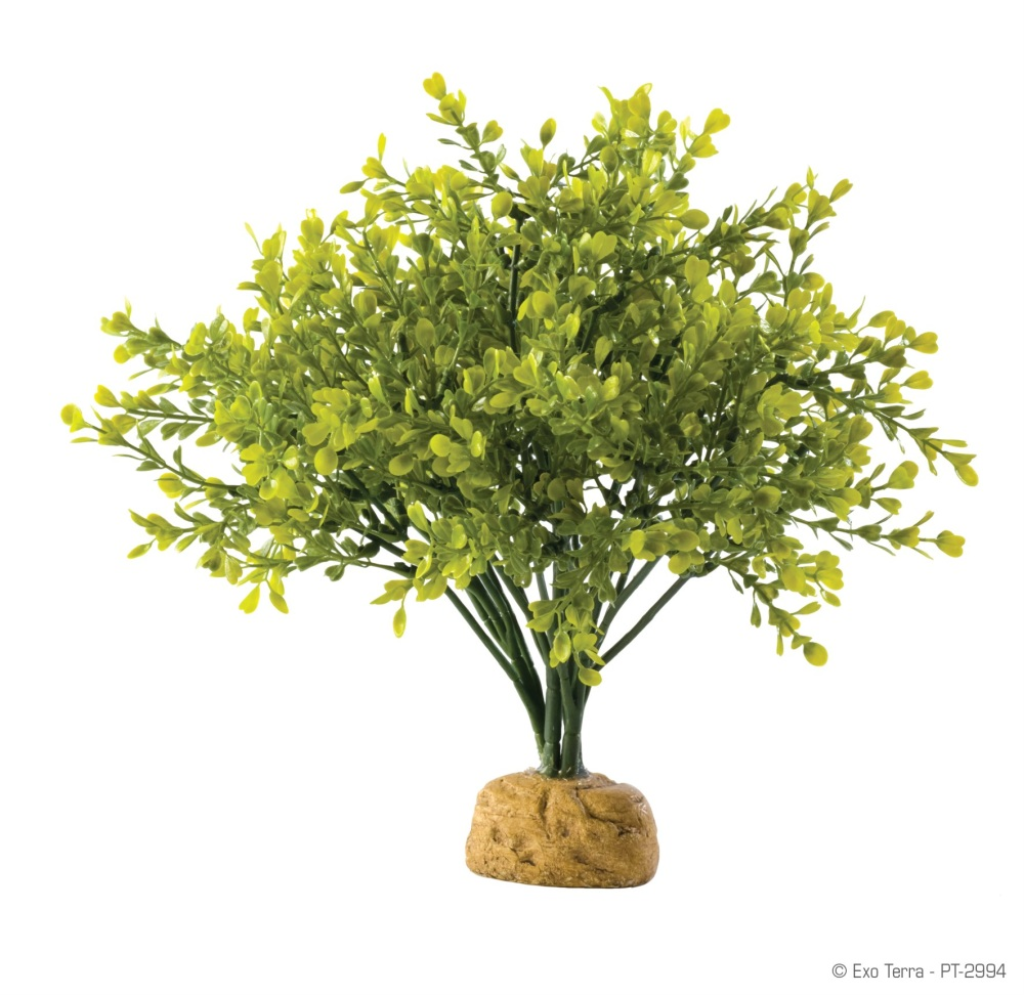 Exo Terra Turtle Grass Plant