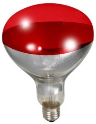 BULB HEAT RED 250W R40 10 WP