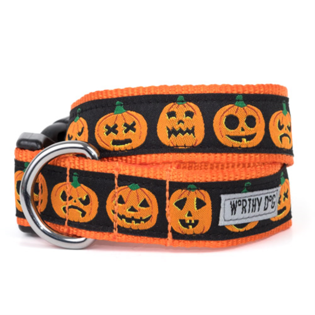 The Worthy Dog Jack-O-Lantern Dog Collar, Black, Small