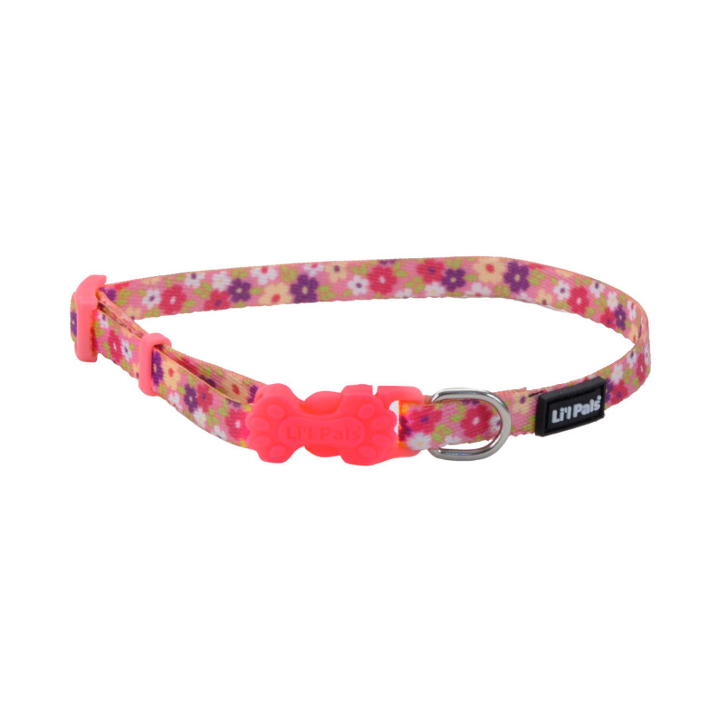 Li'l Pals Adjustable Patterned Dog Collar, Daisies Multicolor, 3/8-in x 8-12-in
