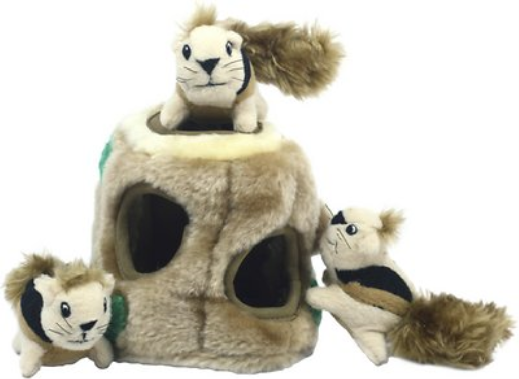 Outward Hound Hide A Squirrel Puzzle Dog Toy, Junior