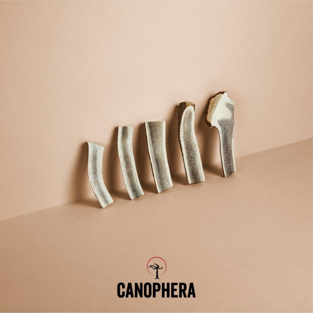 Canophera Split Red Deer Antler Dog Treats, Medium