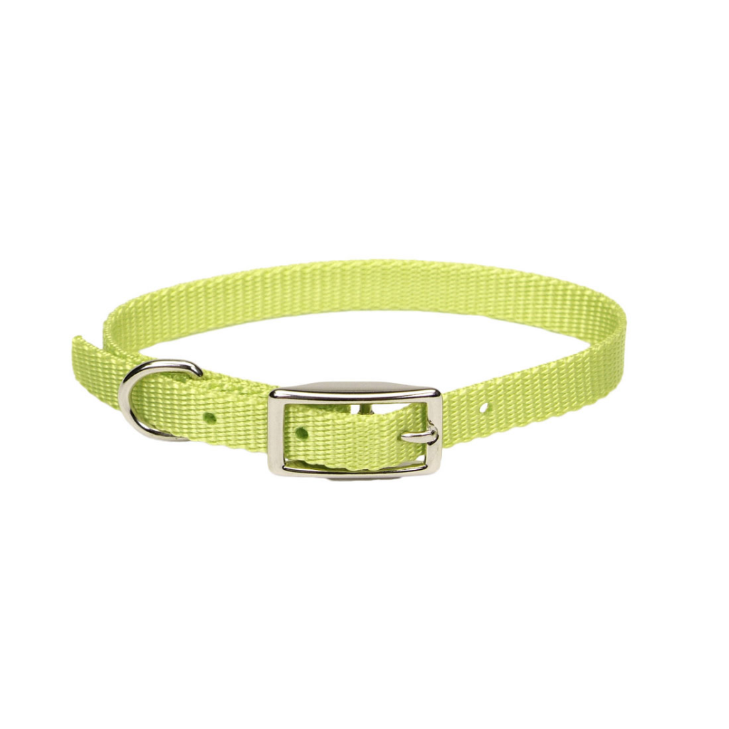 Coastal Single-Ply Dog Collar, Lime, 5/8-in x 12-in