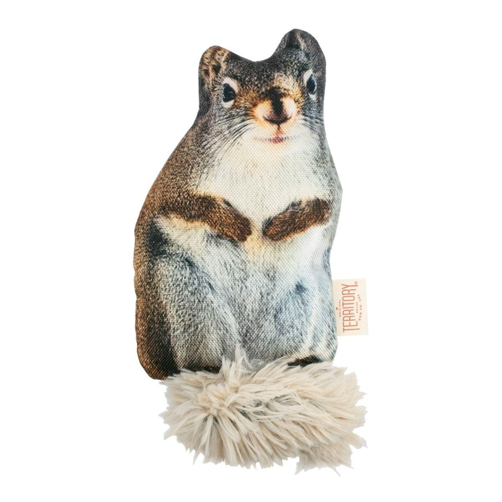 Original Territory Floppy Squirrel Dog Toy, 11-in