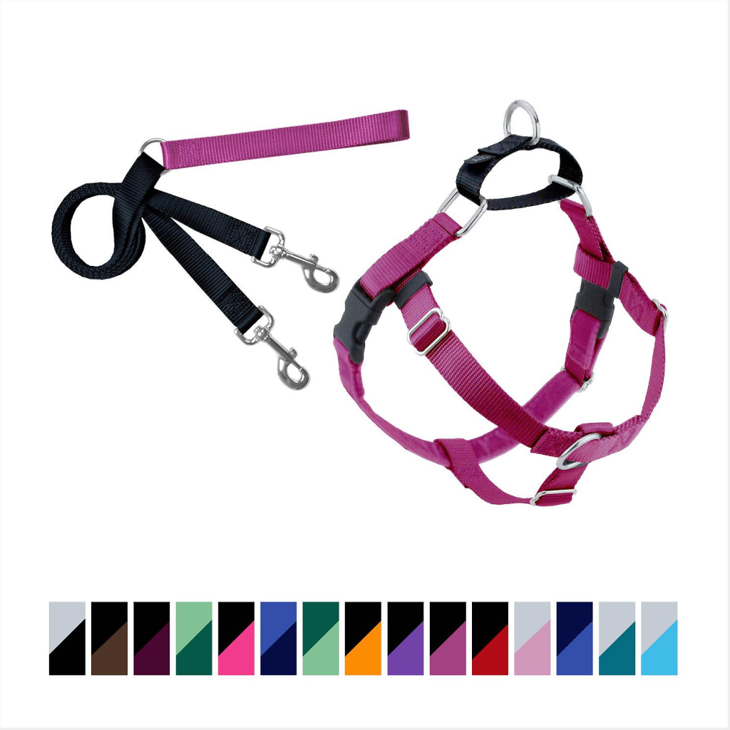 2 Hounds Design Freedom No Pull Dog Harness & Leash, Raspberry, 1-in, Medium