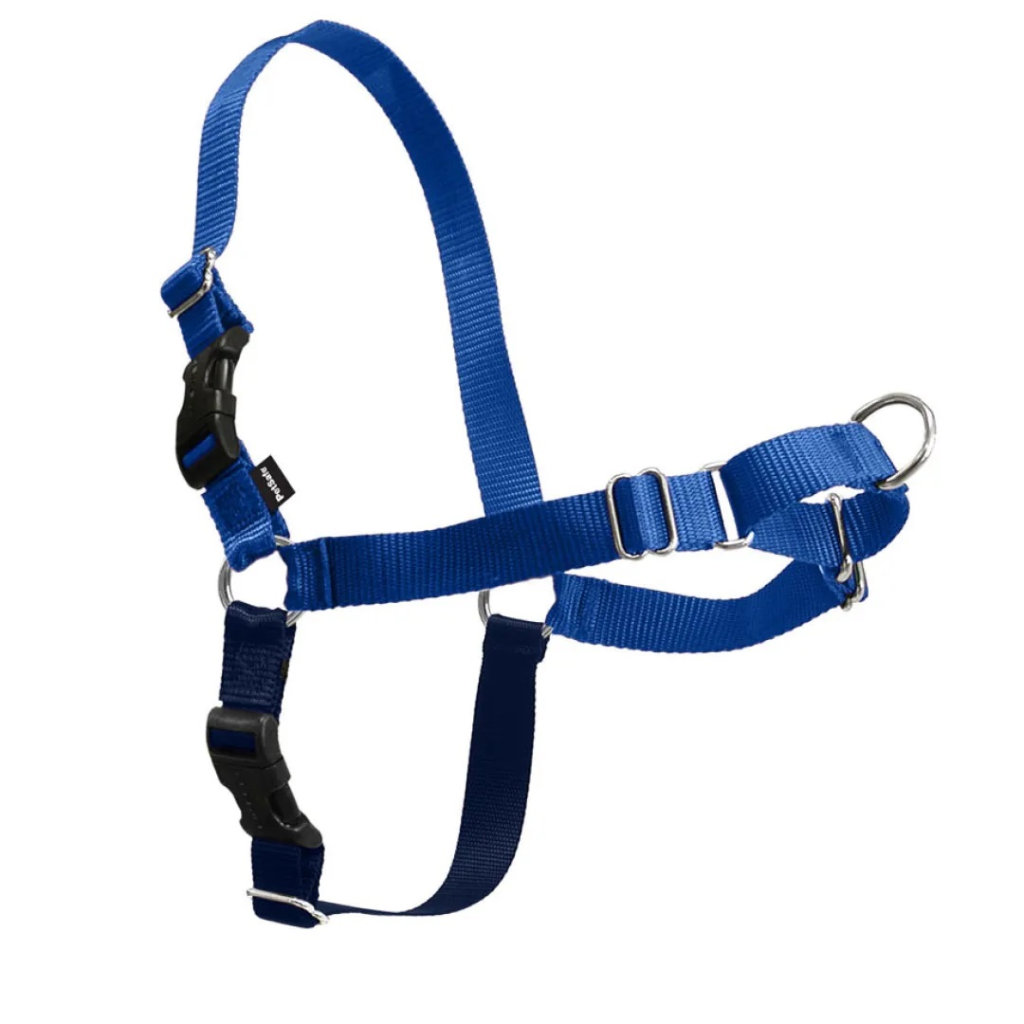 PetSafe Easy Walk Dog Harness, Royal Blue/Navy, Large