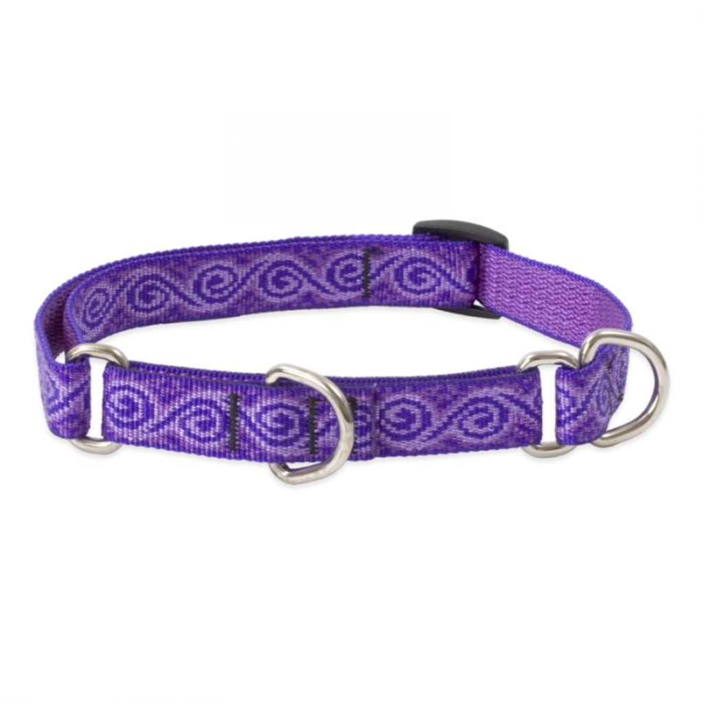 Lupine Pet Original Designs Martingale Dog Collar, Jelly Roll, 3/4-in x 14-20-in