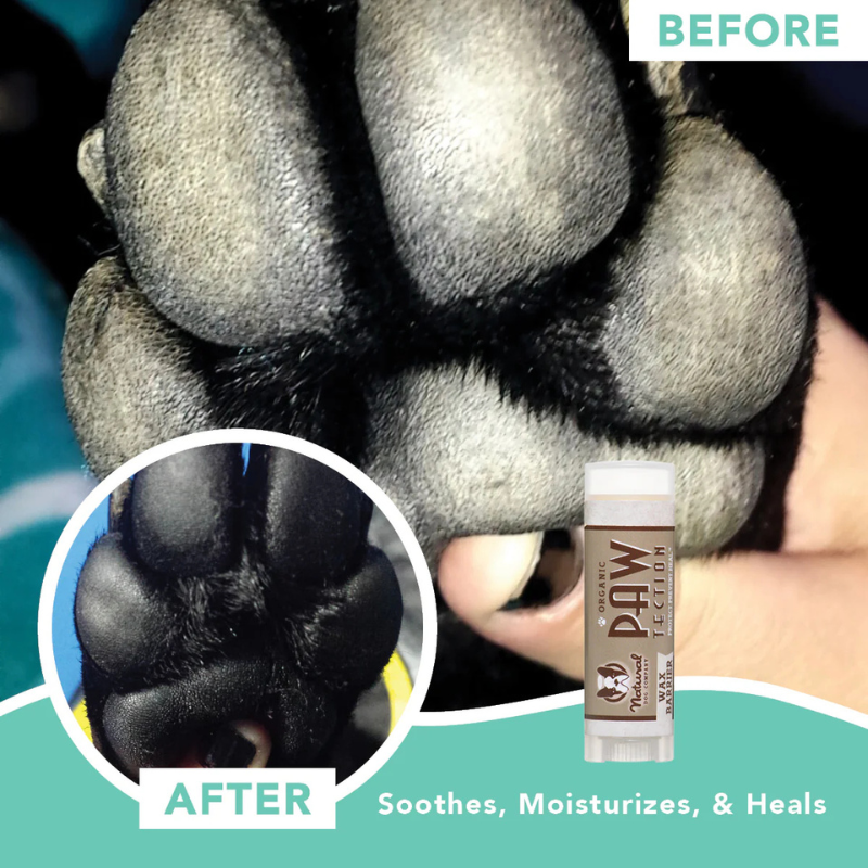 PawTection Paw Balm - Travel Size