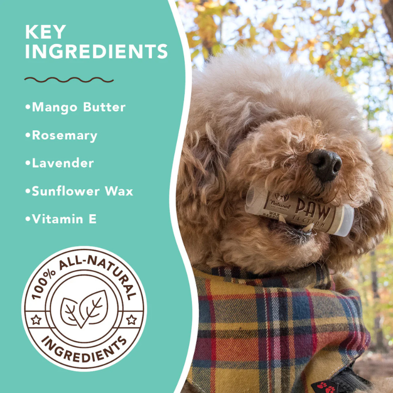 PawTection Paw Balm - Travel Size