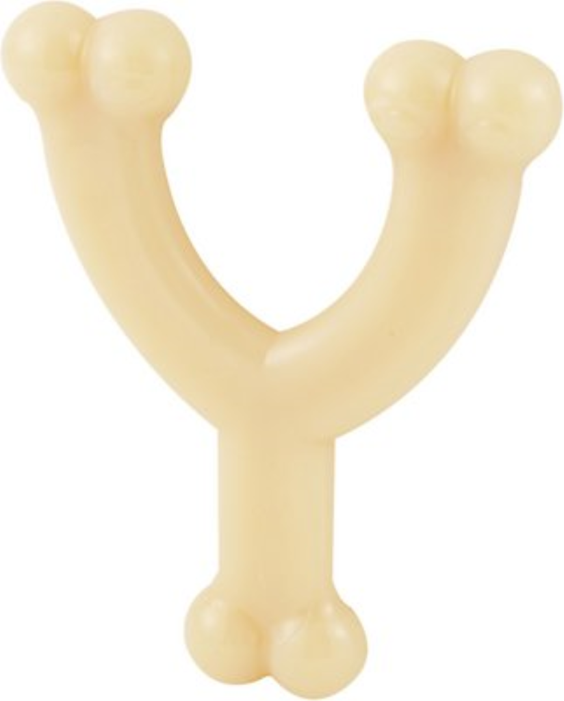 Nylabone DuraChew Wishbone Original Flavor Dog Toy, Medium