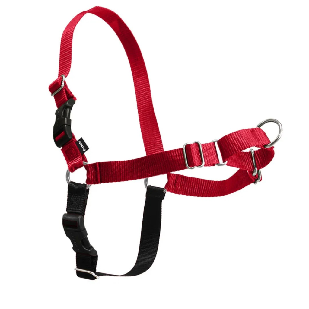 PetSafe Easy Walk Dog Harness, Red/Black, Large