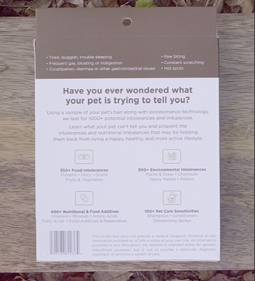 Product preview