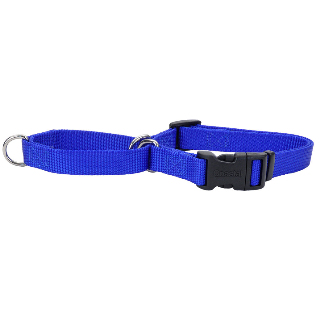 No Slip Martingale Adjustable Dog Collar with Buckle, Blue, 1-in x 22-in-29-in