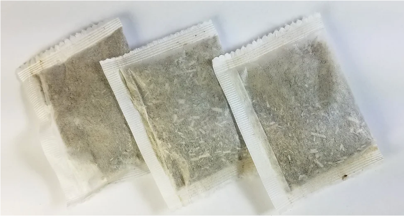 From the Field Catnip Tea Bag