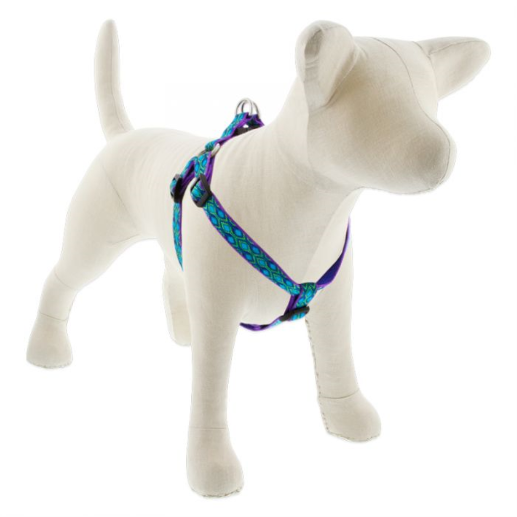 Lupine Pet Original Designs Step In Dog Harness, Rain Song, 3/4-in x 20-30-in