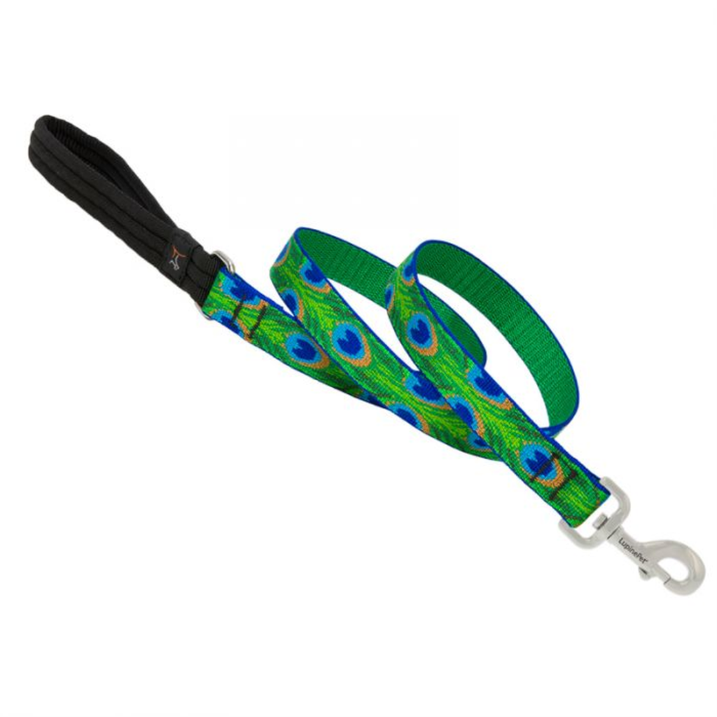 Lupine Pet Original Designs Dog Leash, Tail Feathers, 1/2-in x 6-ft