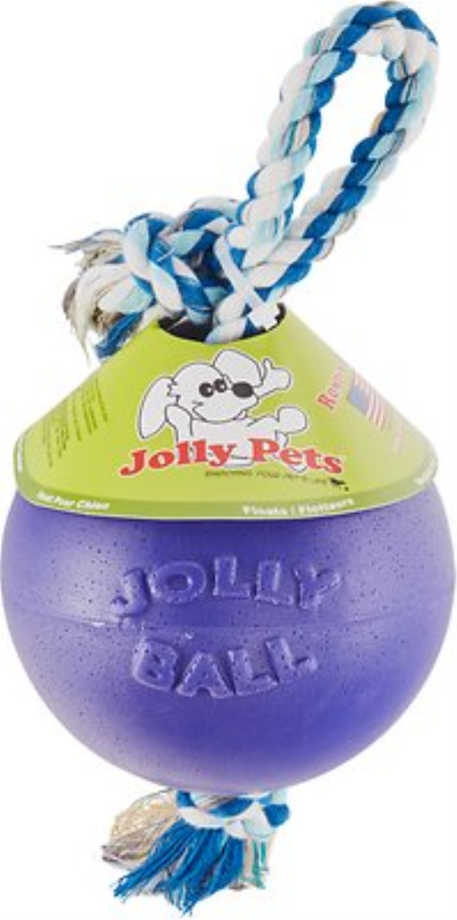 Jolly Pets Romp-n-Roll Dog Toy, Purple, 6-in