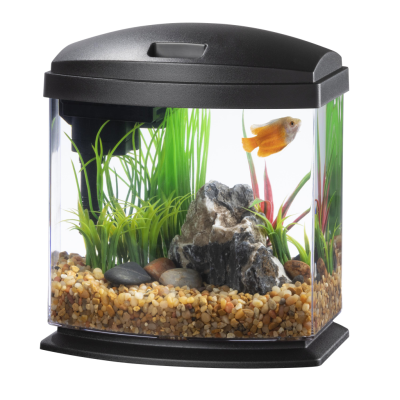 Aquariums & Bowls