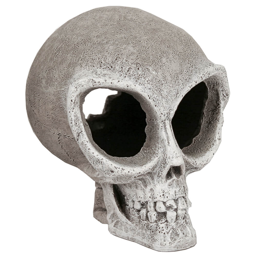 Blue Ribbon Exotic Environments Alien Skull Aquarium Ornaments, Small