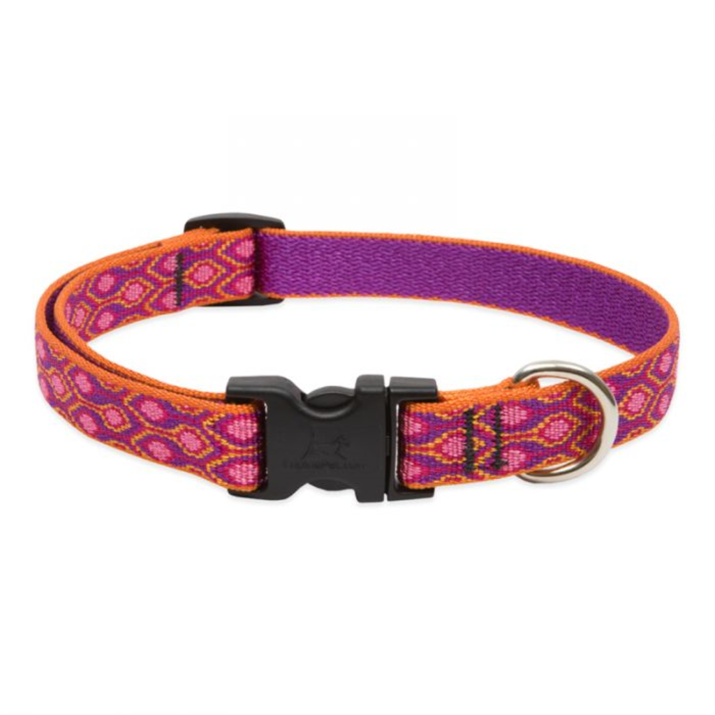 Lupine Pet Original Designs Adjustable Dog Collar, Alpen Glow, 3/4-in x 9-14-in