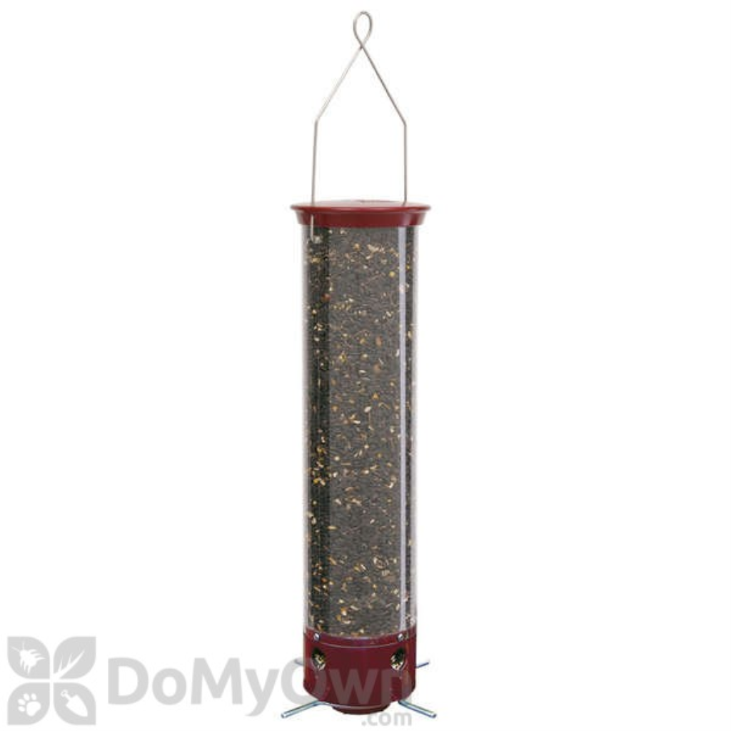 Droll Yankees Yankee Dipper Squirrel Proof Bird Feeder