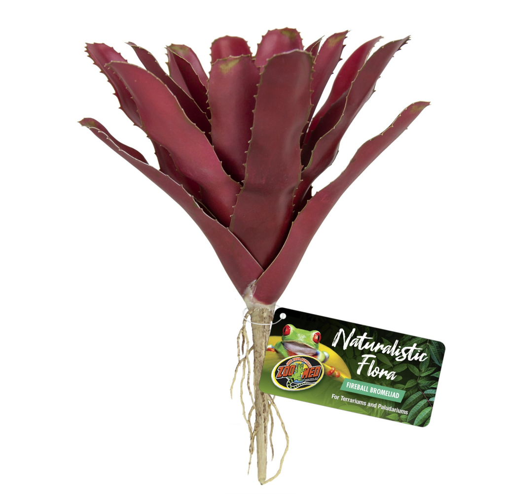 Zoo Med Naturalistic Flora Fireball Bromeliad for Terrariums