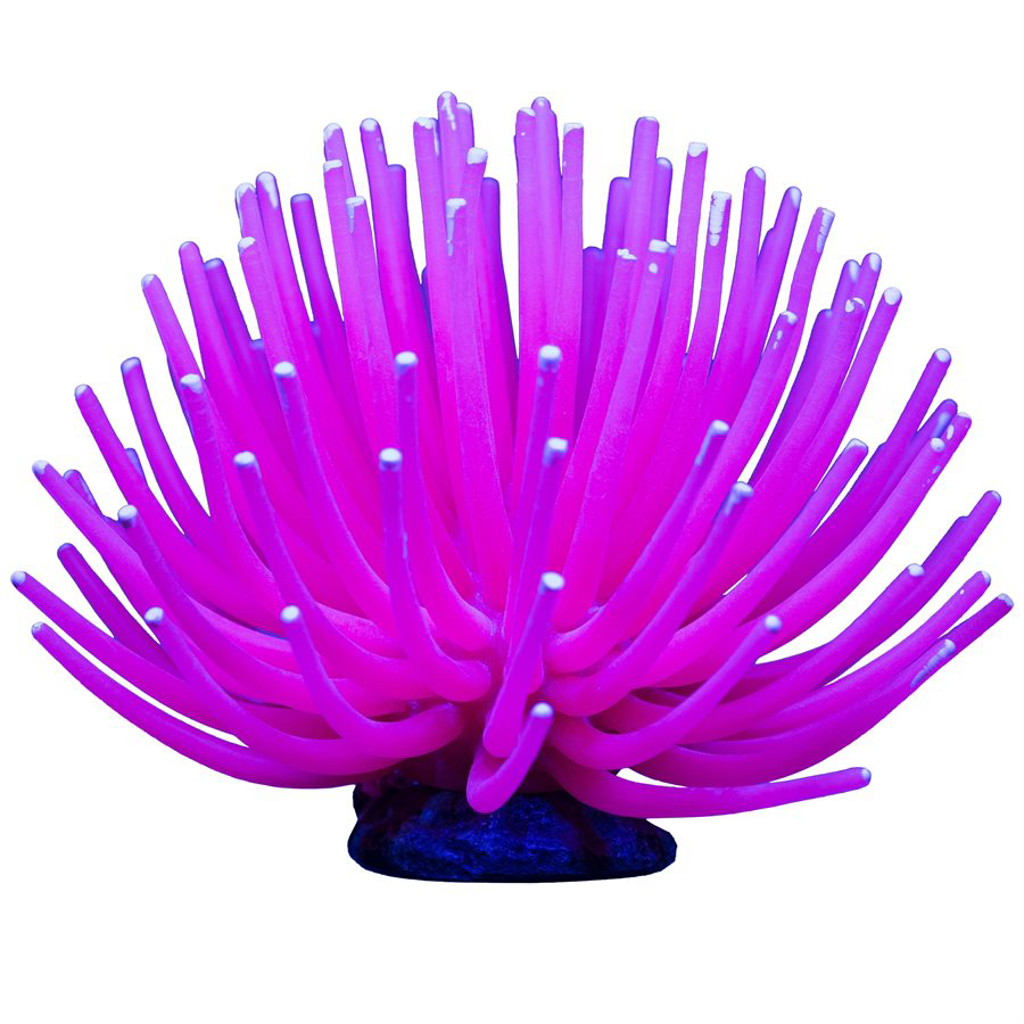 Spectrum Brands GloFish Anemone Large Pink