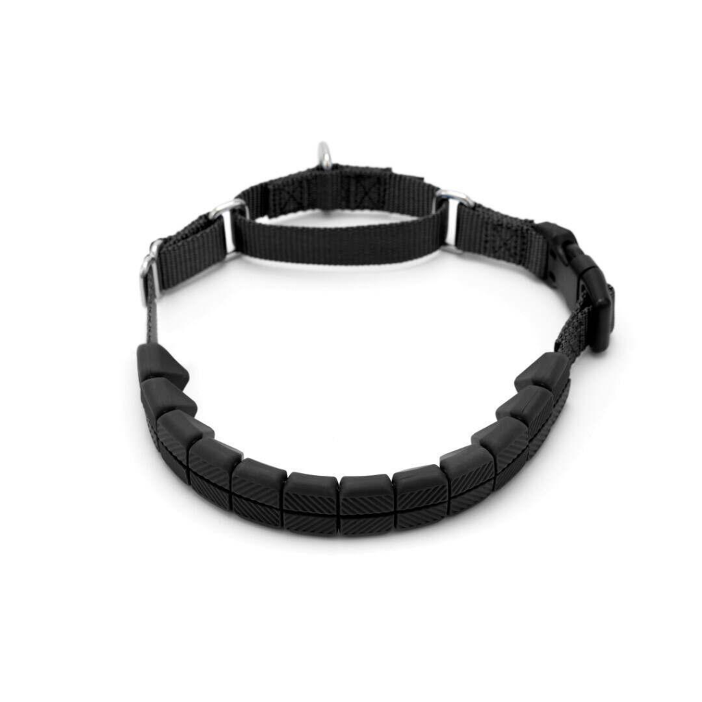 PetSafe Soft Point Training Dog Collar, Black, Medium