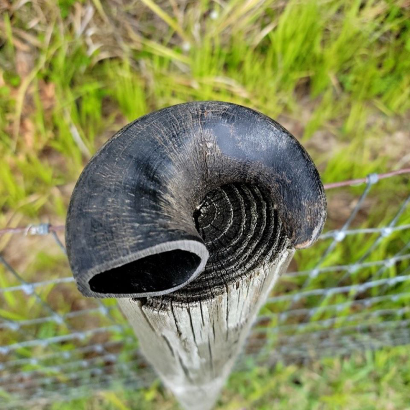 Buffalo Horn Small