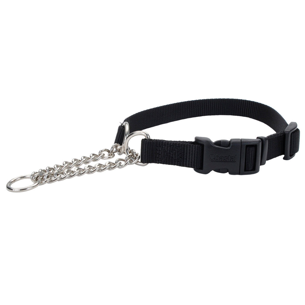 Coastal Adjustable Check with Buckle Training Dog Collar, Black, 3/8-in x 11-15-in