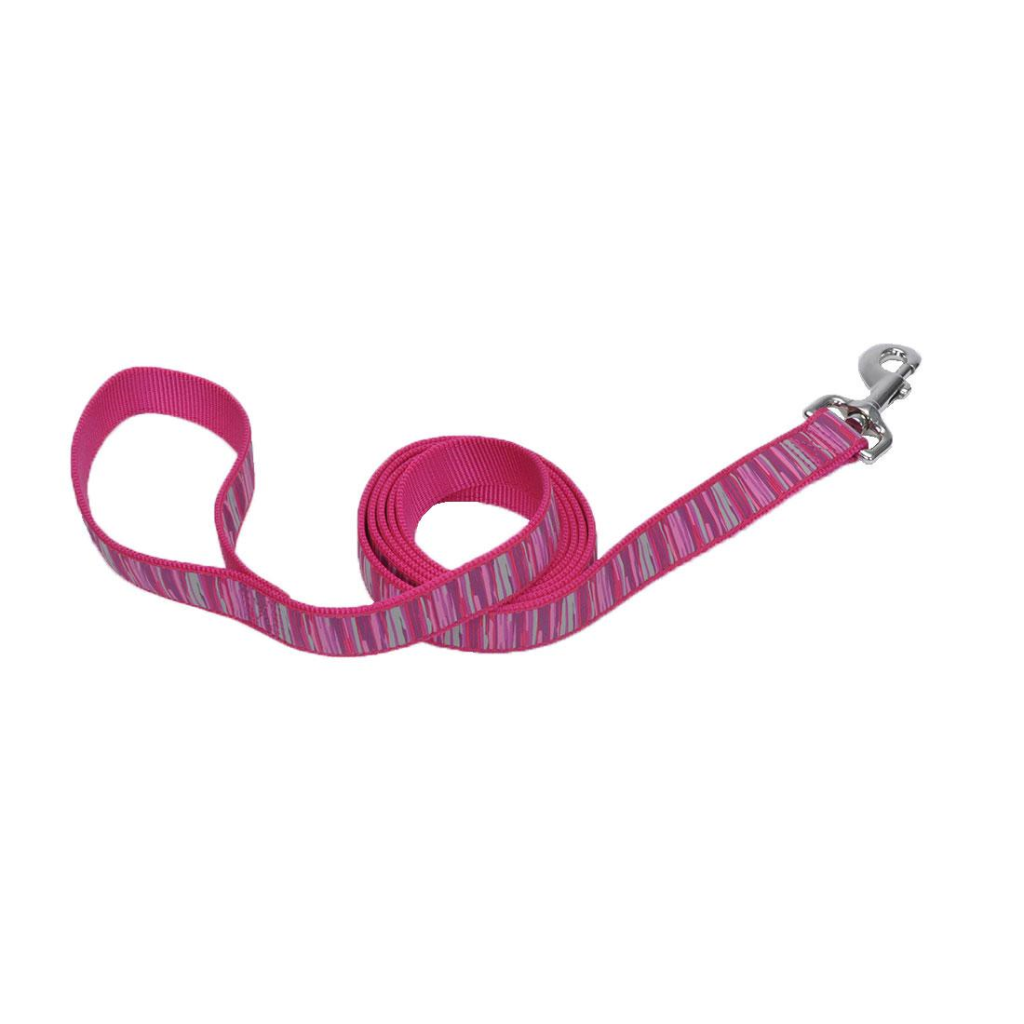 Ribbon Dog Leash, Pink Flamingo Stripe, 1-in x 6-ft