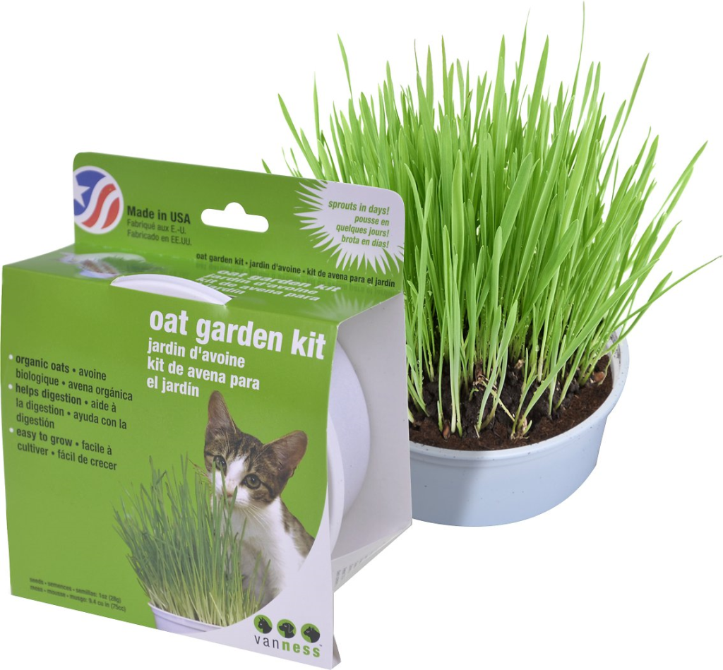 Van Ness Oat Garden Kit for Cats, 1-oz