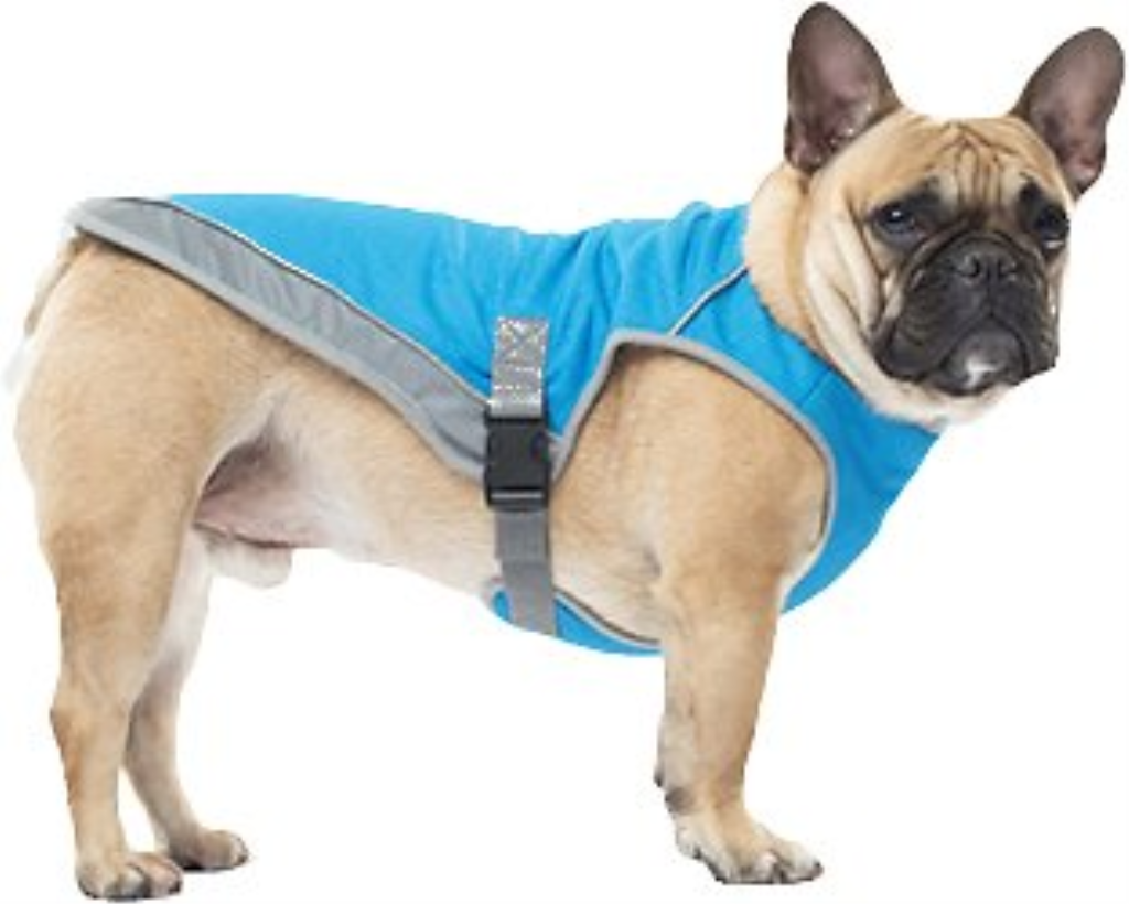 Canada Pooch Chill Seeker Dog Cooling Vest, Blue, 12