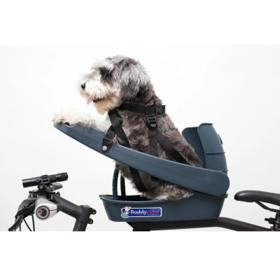 Buddy Rider - March Road Pet Food and Supplies